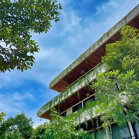 Etnica Ku - Tulum Jungle Paradise エクステリア 写真